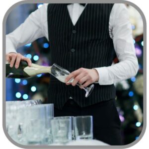 personal para fiestas o eventos sociales- Barman, bebidas, mixiología, staff